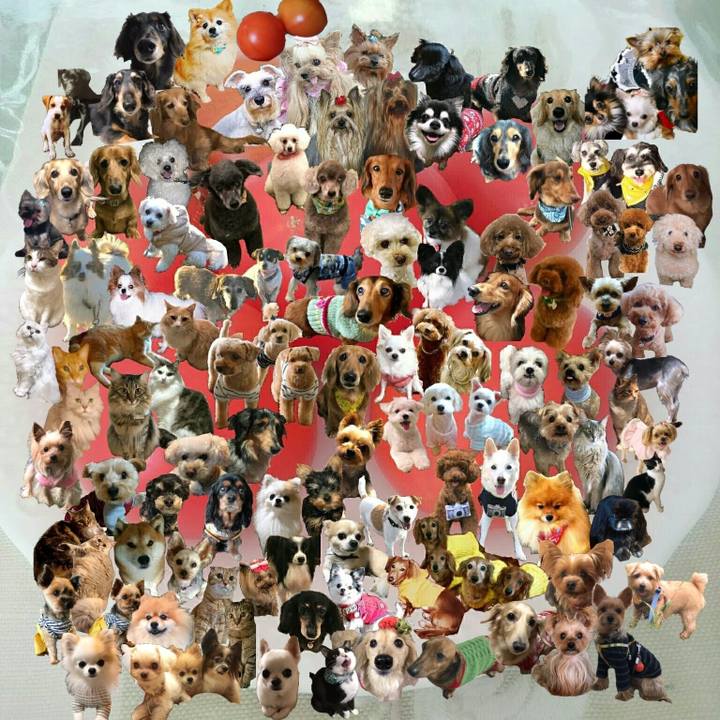 7658d436 ec2d 473a a62d b1d473dadc68 1552818105208