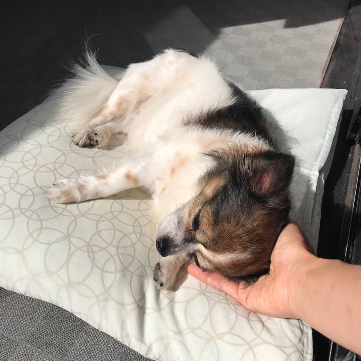 7658da2b 9a3a 470e 8aa7 7b5c67ccc1c7 1602984189390