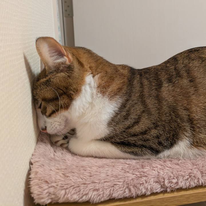 7658f873 cbaa 441d ad8a 63827073864a 1768830420488