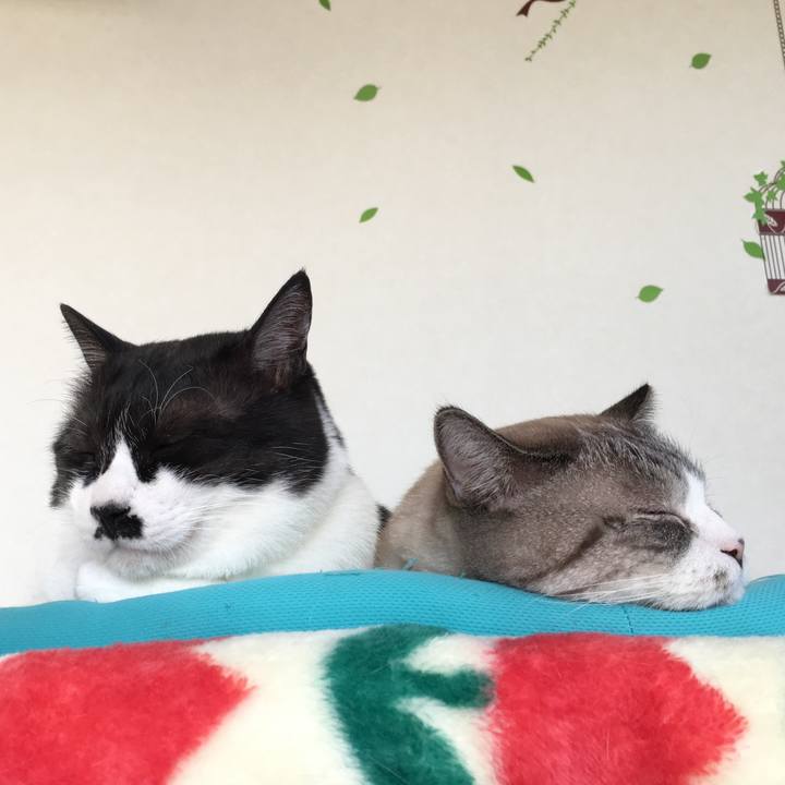 76592af6 cced 48ec 941f 1ab6ad67c5b4 1513731466908