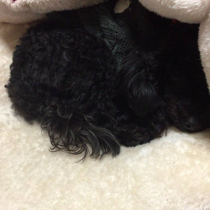 76595c16 008b 482d bde2 718a3a684b3e 1521649783237