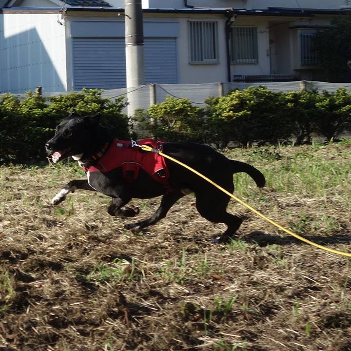 765965cd 2fa1 4531 a867 f862abf5c98c 1601426818227