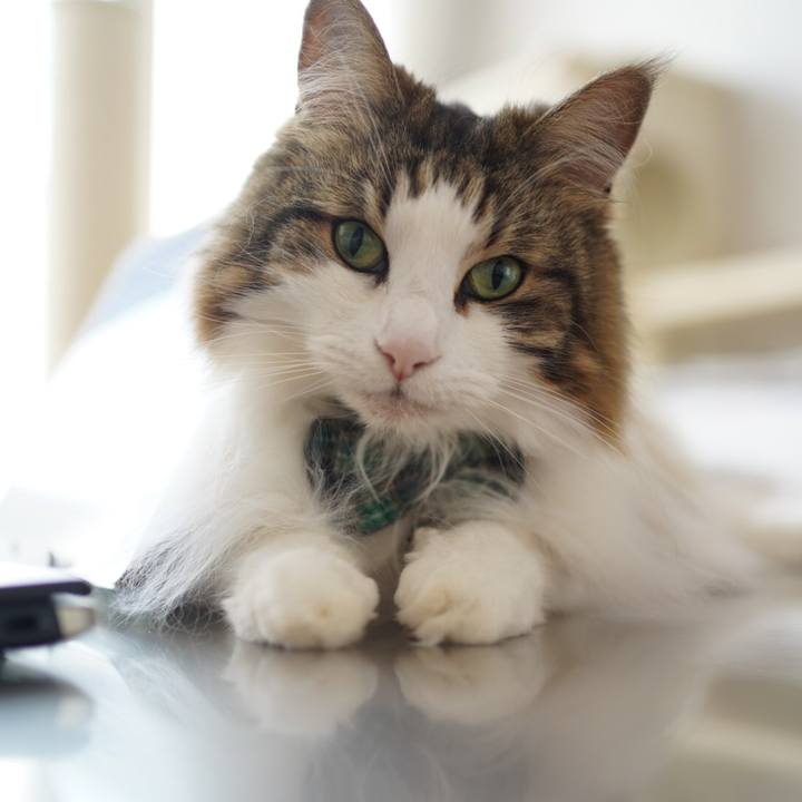 76596ee0 700c 42c9 ad44 4cb80d910315 1624084674849