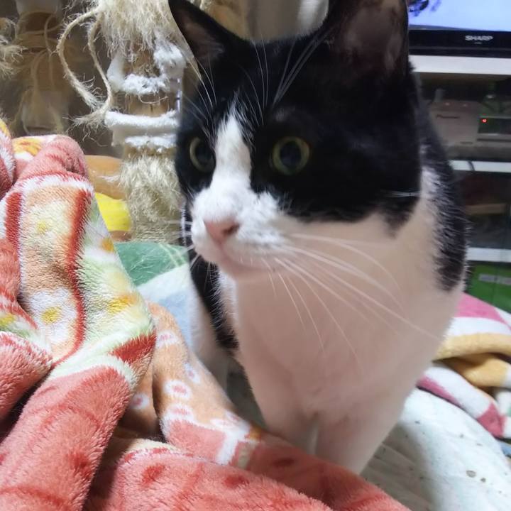 76598e26 0995 4ee2 b01e 94b1e7e0ff87 1564351144502