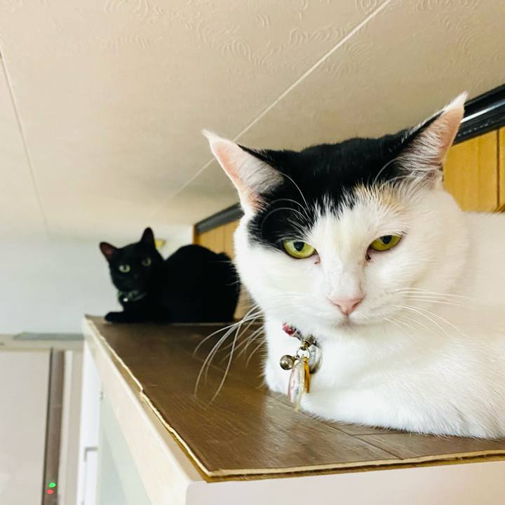 765998b3 43a6 41c0 9168 f0eeb93d8215 1728041939919