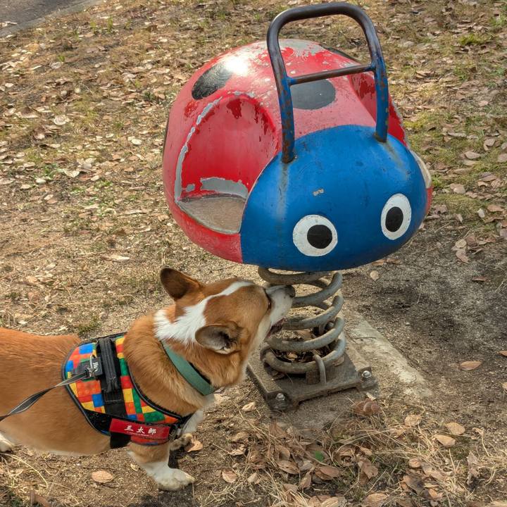 7659a432 db39 42d8 833b 035c0b1b482c 1736995569355