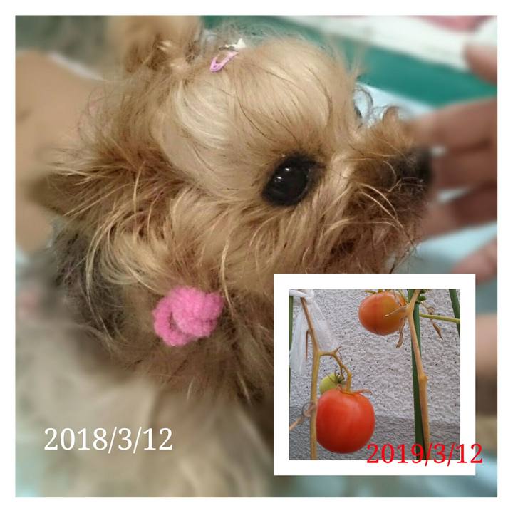 7659cee0 f44f 4a77 93fd 7fe2c6a84b5c 1552351357099