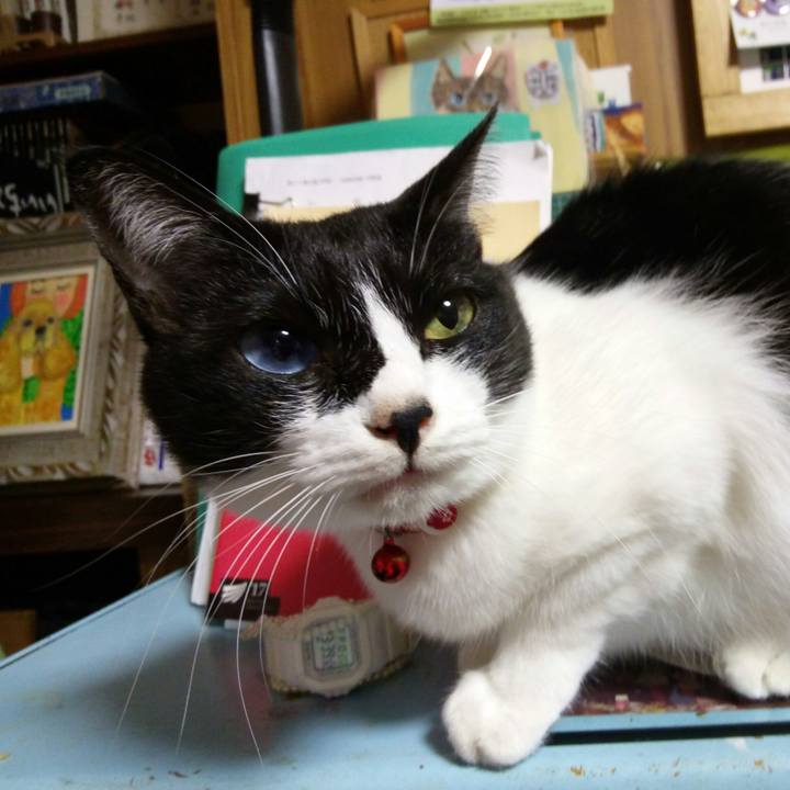 7659dd8d 8b40 467d 9b9a 8541d1cde41e 1508510378677