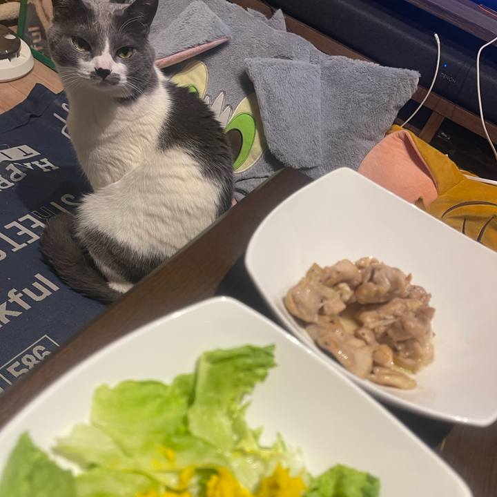 7659ed72 794d 43a9 bc87 d88f137f6719 1743767042488