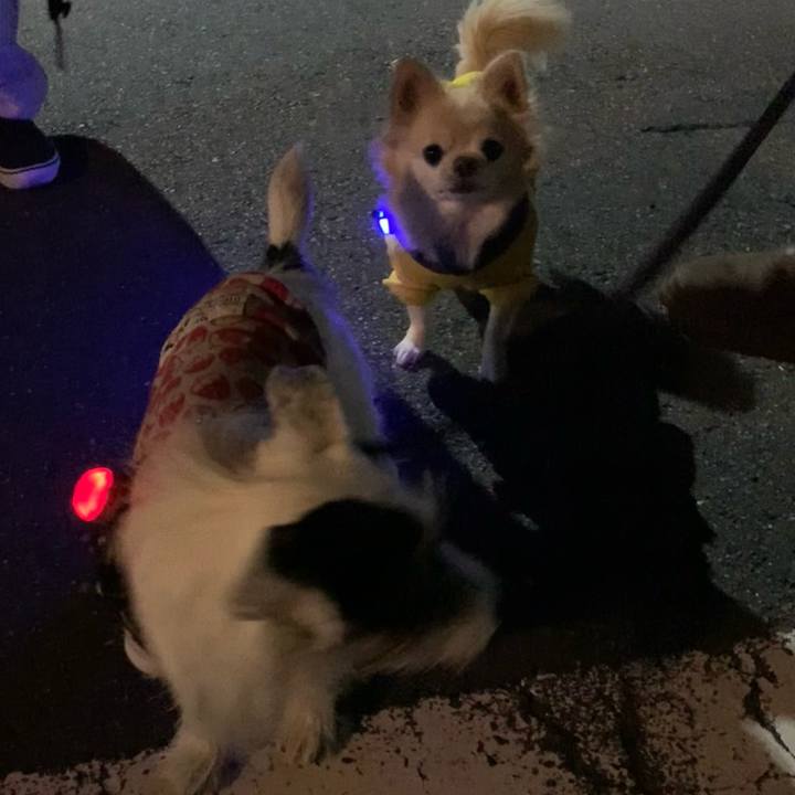 765a3016 ecdb 4a9e 98a0 fbe4e6b4858f 1702904416375