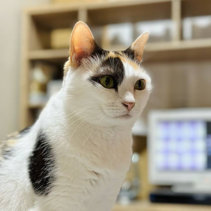 765a35e4 41e1 4370 bb09 5c46e094ed67 1698290698079