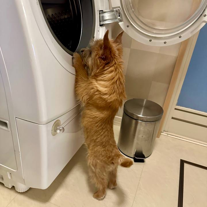 765a5c6c d89d 4594 9b34 b63a759b8422 1706880418667