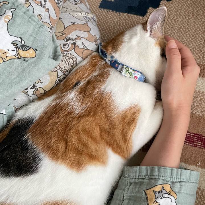 765a6284 c201 4790 bbae 9759660ef8d5 1695339394452