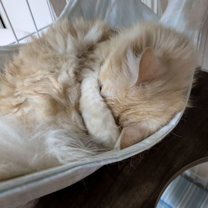 765a6cdc 2a6d 4e8b ae35 237a7f5f557a 1758897472649