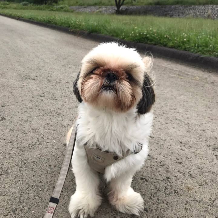 765a7319 6082 4587 b67b c0d87a0f019b 1654692990570