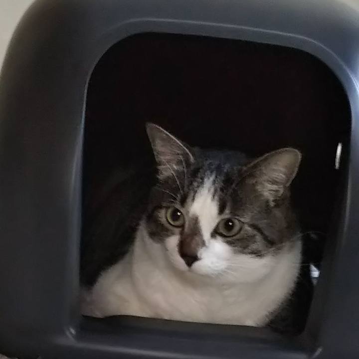 765a99e3 99e6 4bb2 98f9 97a00f0aa9c0 1624441665138