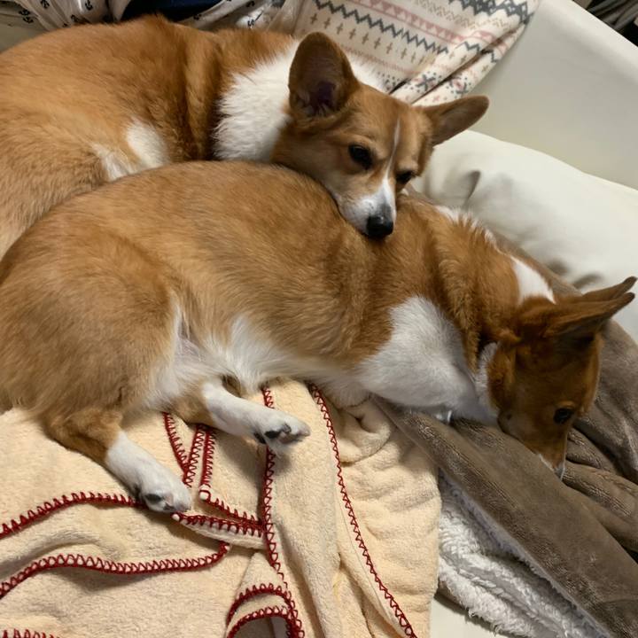 765abd75 007f 42d9 bfeb a5e056b87e2c 1576901269538