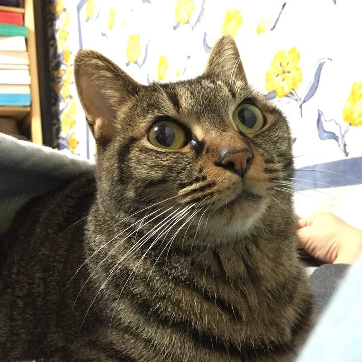 765aeeb9 6f87 4b44 8516 d9542ee292ae 1509981652000