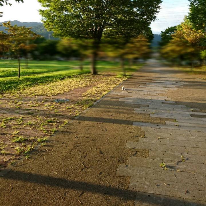 765af1a7 d640 4385 b4c1 4f6d3c6a3cd7 1538614376685