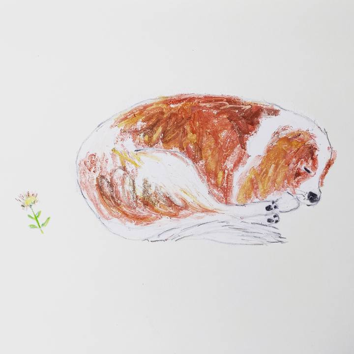 765af62f 8e4f 4a3f 975f c08d074acba4 1575113262020