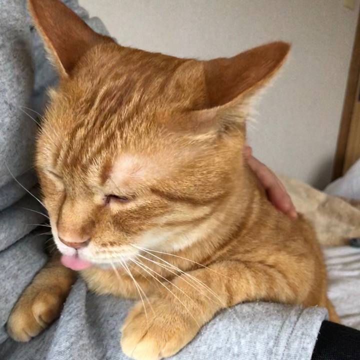 765b0d2b b916 43a8 8b6f 81711a6cab2d 1589097439470