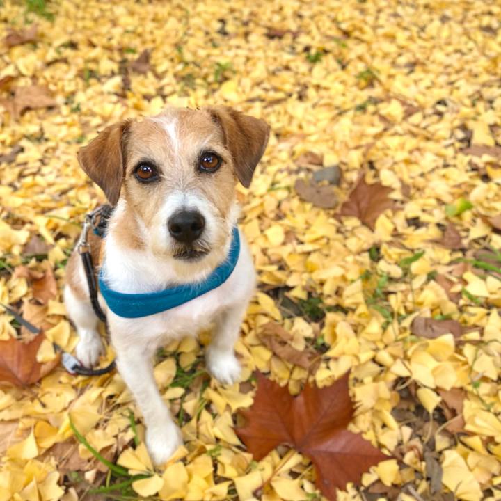 765b0de3 4ac5 4225 a514 e347a1eb8e42 1668350725232