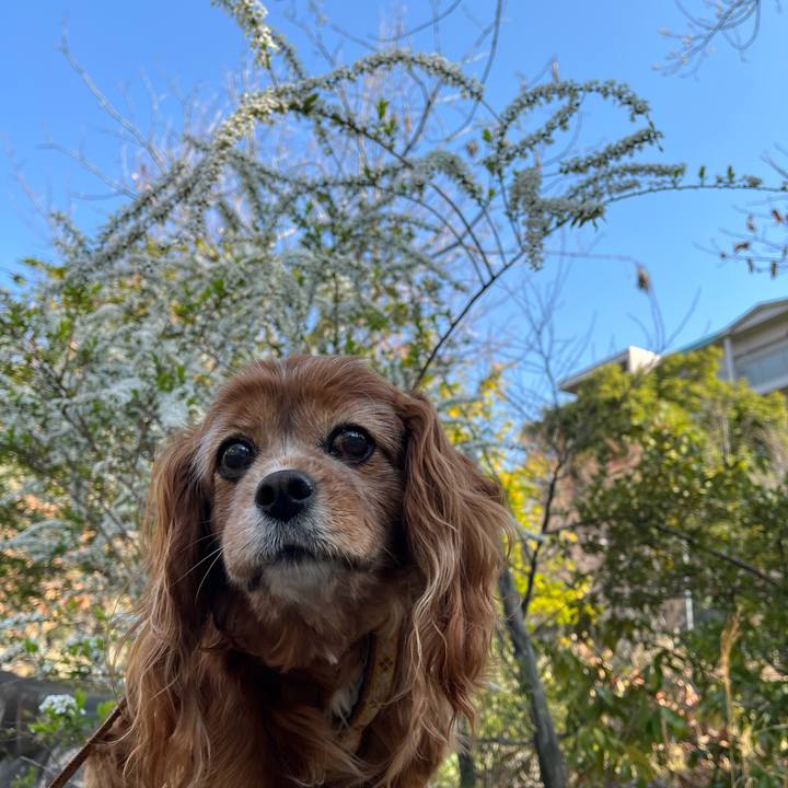 765b3afa f7c9 471c 9c92 1a7996cc1da4 1774574607902