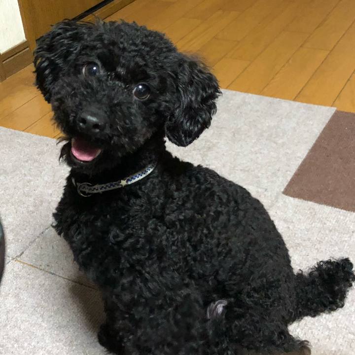 765b55f4 9cec 4474 8abd ae1cb2fdc67c 1522881356877