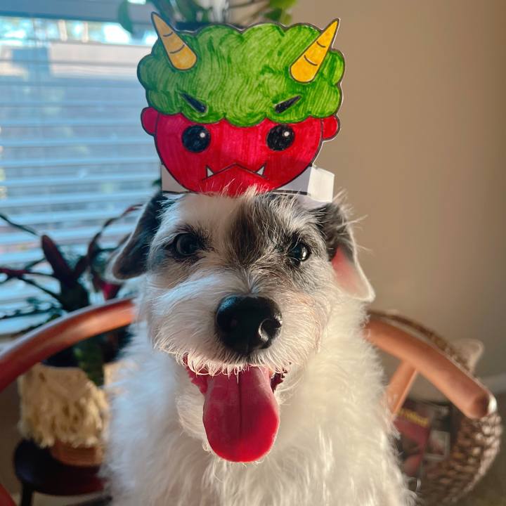 765b5e58 a934 4c30 a08e 07563cc4ea6a 1675464452161