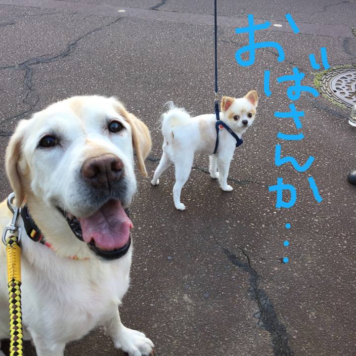 765b8612 f4df 46cd 81bf 5458cd157c7e 1656375944999