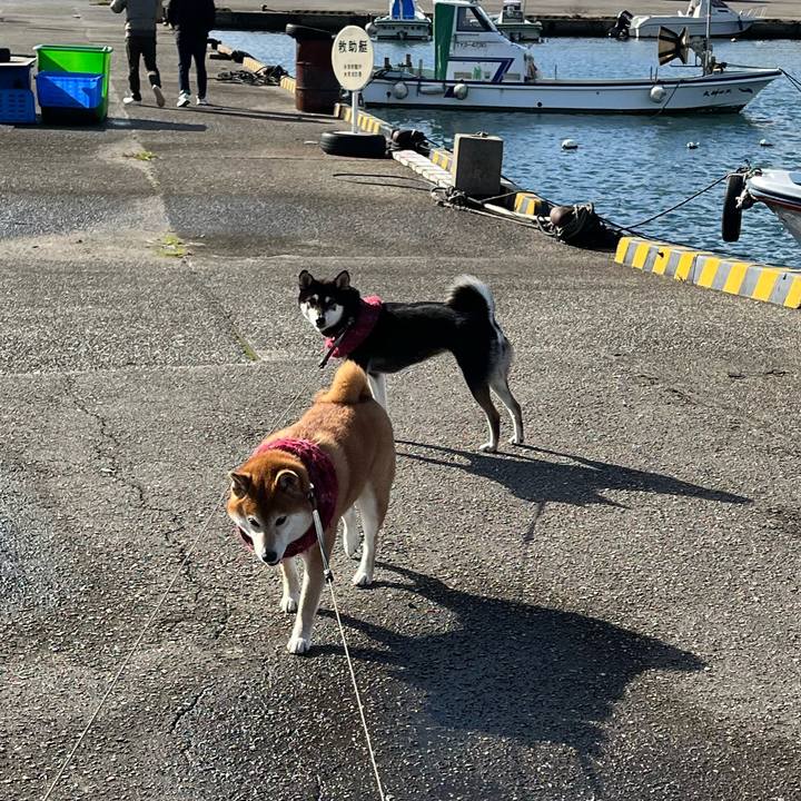 765bc604 7ecf 405c a017 ce8cec11e44f 1638017688202