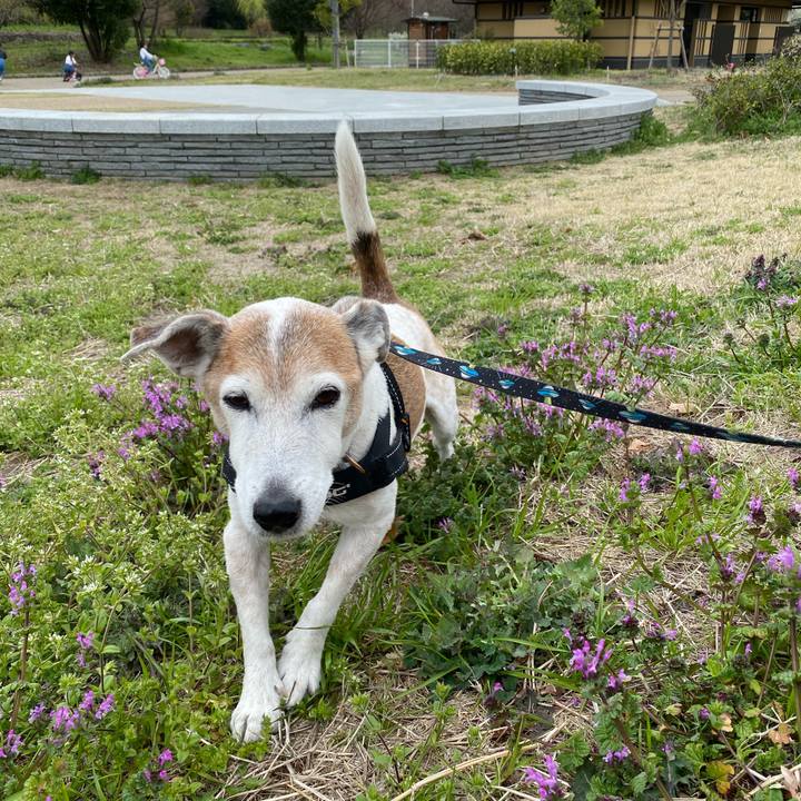 765bc6f6 1151 4a2a a97a 743eb3393feb 1616227383134