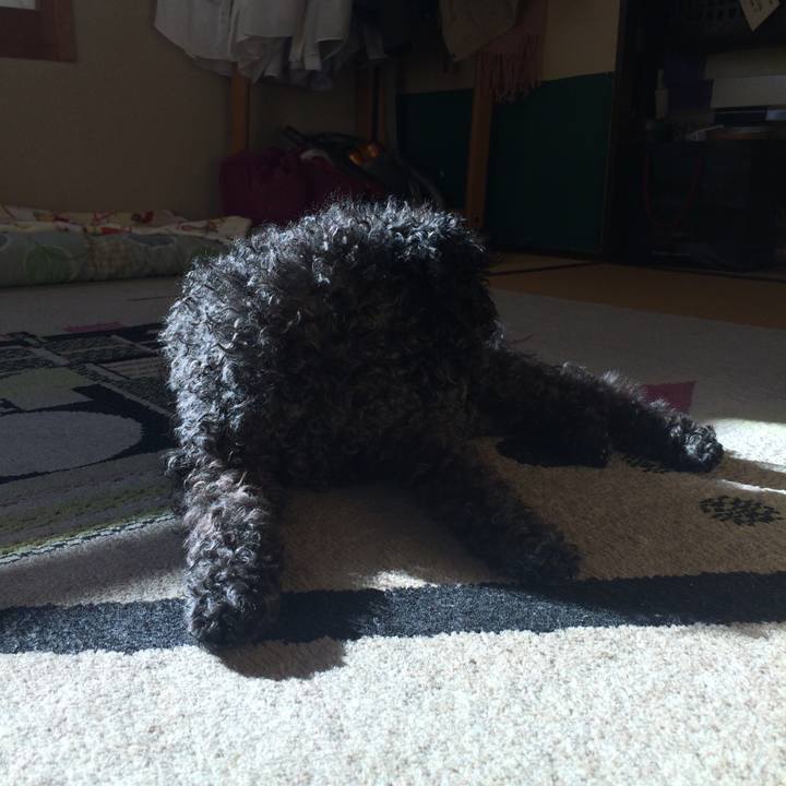 765be0aa 53a5 41bd 9b8d 0b903d10b6d8 1515849086812