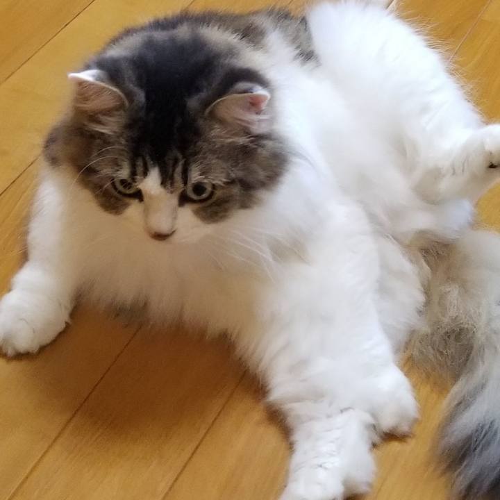 765c7ee7 a1e7 454e a96c 3d2bafbf7531 1567208628143