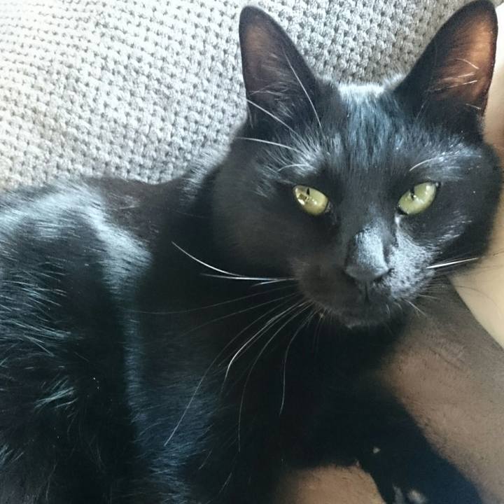 765c92fd cf45 4231 ac89 0983ea120ae2 1519084338287