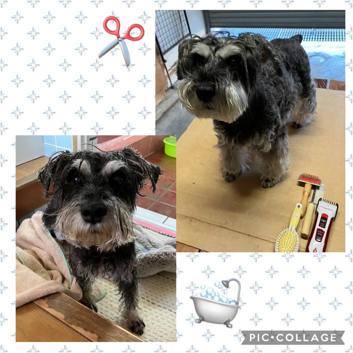 765ca21c 41d9 48d1 9528 9369aa3d95f4 1751169801236