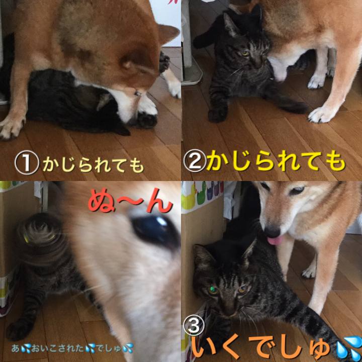 765cc747 bb3e 428d b16d bfa76ae43e27 1568183784964