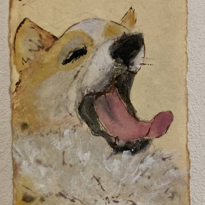 765cd7df 8aa4 4da5 817f abf4e8230597 1747451136192