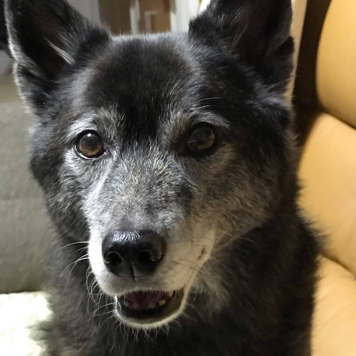 765cedc4 8308 48a0 ba83 39603251bb18 1634105193487