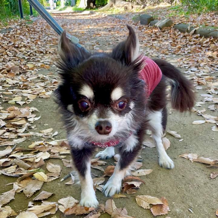 765d23d9 5ff4 4297 bdf5 f7ac2cab3cc3 1667450975719