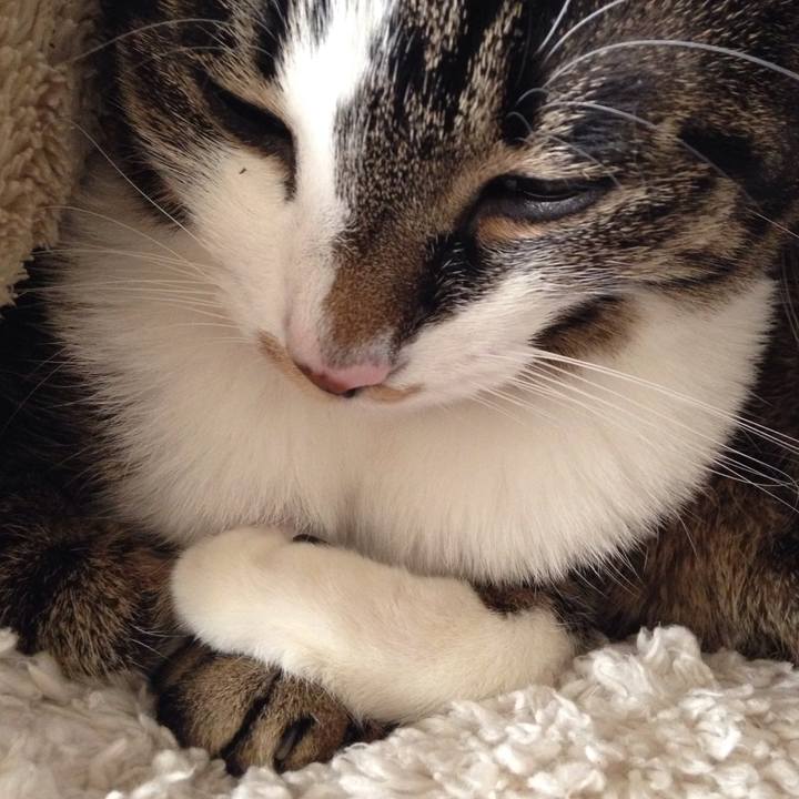 765d2786 288a 4fc3 a5d3 0b03548163d2 1513221897285