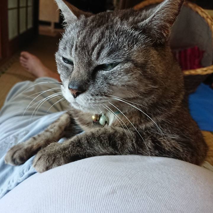 765d4167 e5c9 4142 adb9 dd530f8fb079 1561540860171