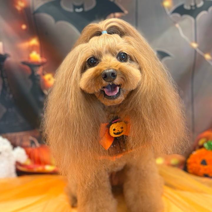 765d633c eca6 407a 90cd b062cfdc74e9 1761207061110