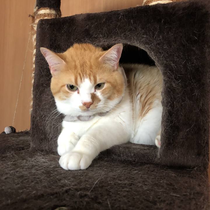 765d68f5 4cd6 412d a9f5 0c823d34246b 1527122092695