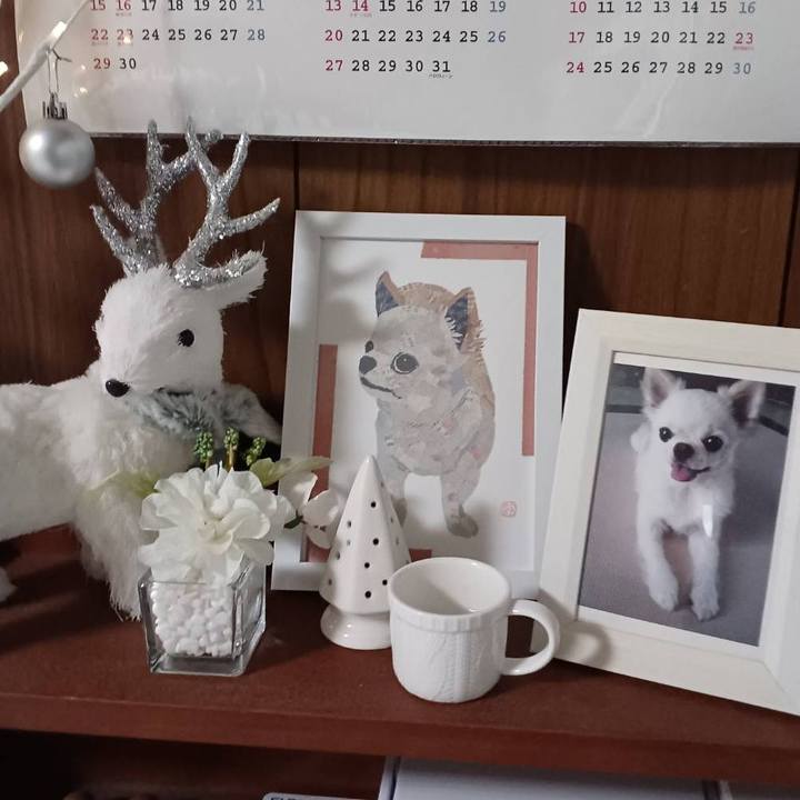 765d6ed0 0406 4261 b312 c4faedea0819 1743767885308