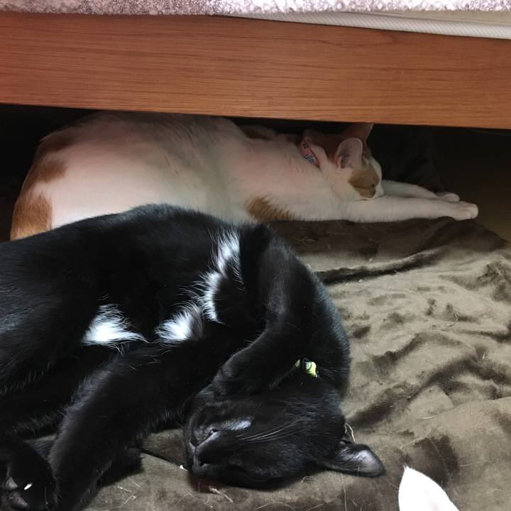 765d84fb f27c 4df0 8541 6d0babde8173 1519805896904