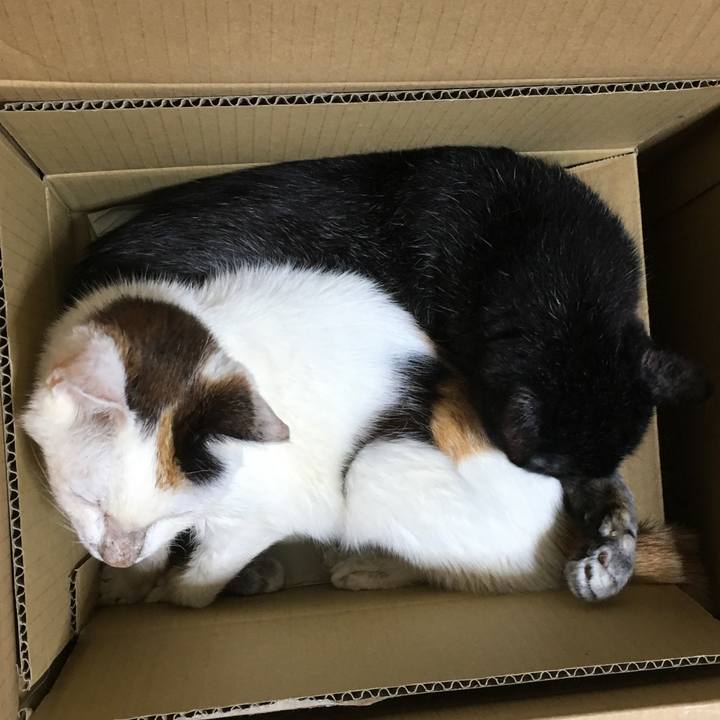 765dc71a 40a4 44db bfe7 08713aeec5c4 1534136717618