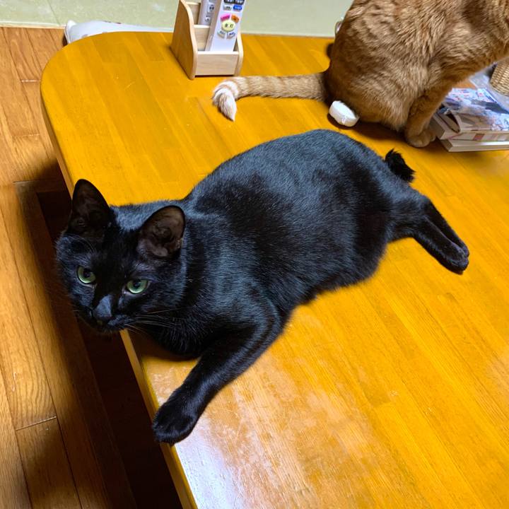 765ddcdc 6df8 42cd 9a1a 53c41ebe7ac5 1591879795950