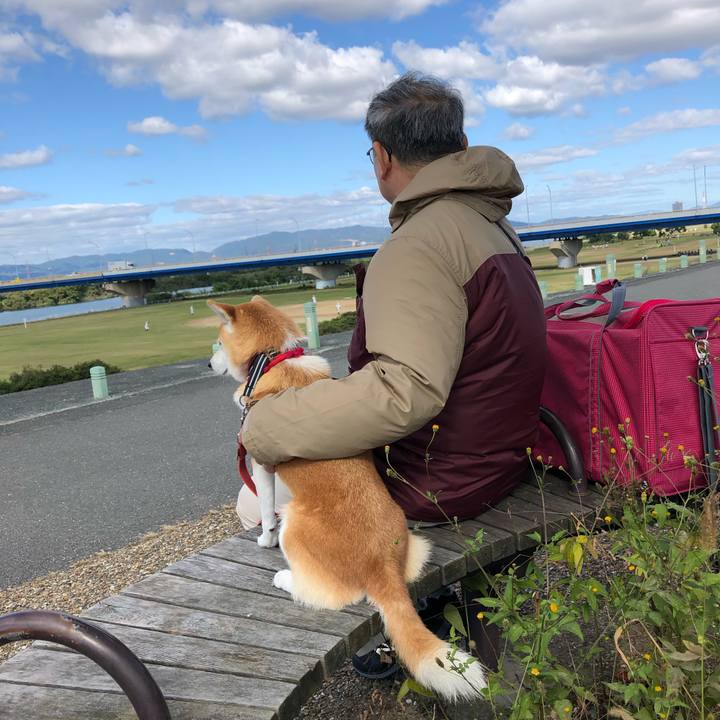 765deac9 8481 4134 bc20 7161db579b00 1572846728388