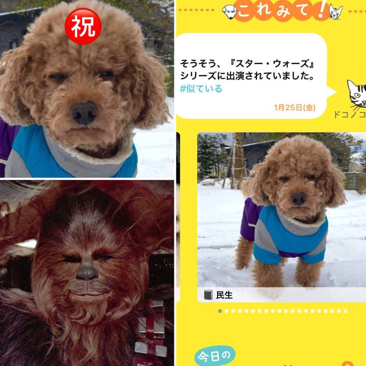 765e14e9 be3c 4081 8de5 e510c0b1b7d5 1548474943297